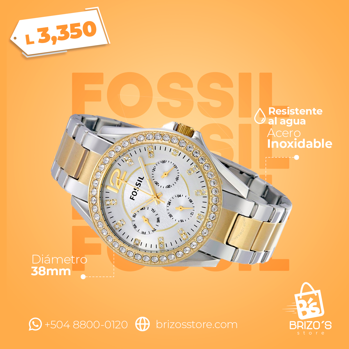 Fossil Riley | Mujer | ES3204 / RWFS28